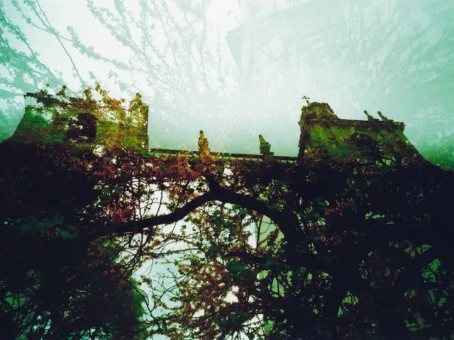 Commission recommended to present a plan for worker radiation safety regulations