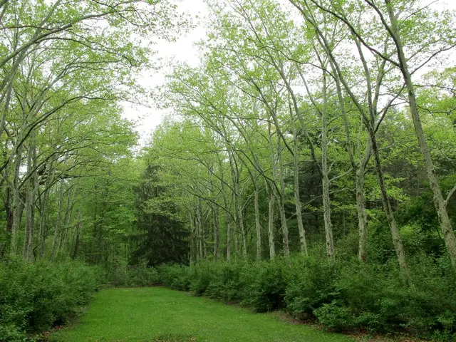 Central and Latin American recipients of the Global EbA Fund assemble to share insights on the...