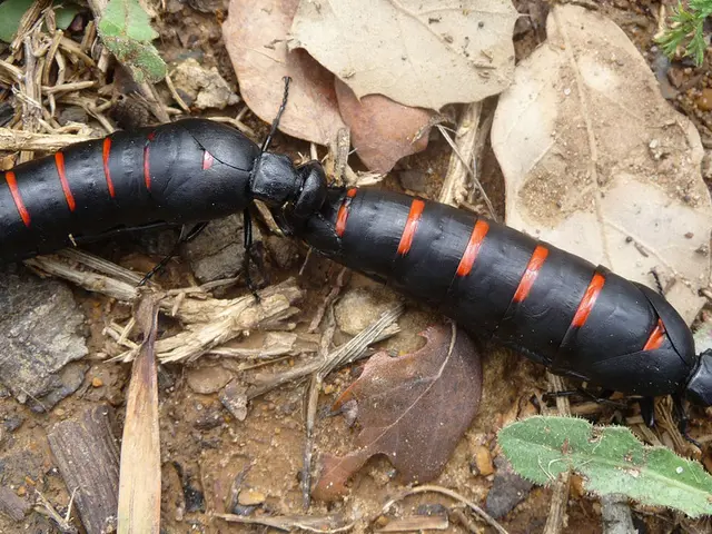 Frequent Causes of a Scalp's Desiccation