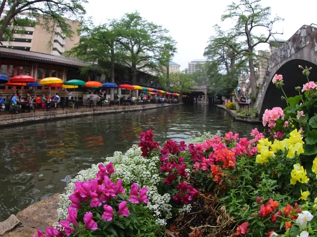 Reopening of Bambados: Anticipated Experiences of Sauna Patrons