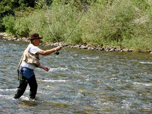 In the image there is a person standing in the water and fishing in a river, beside the river there...