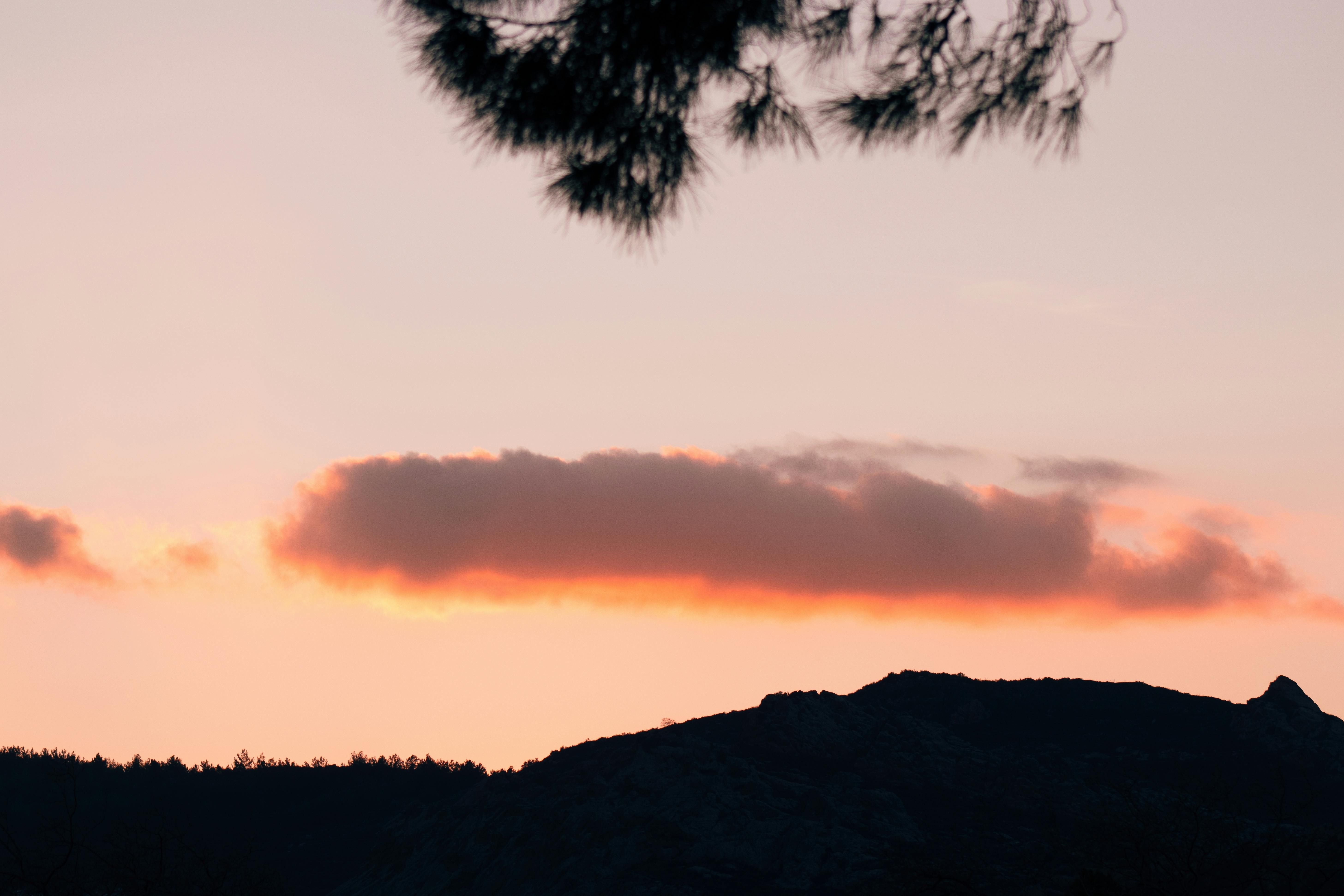 Health Consequences of Air Pollution: A Discussion on How Prolonged Exposure to Harmful Air Quality Affects Your Well-being