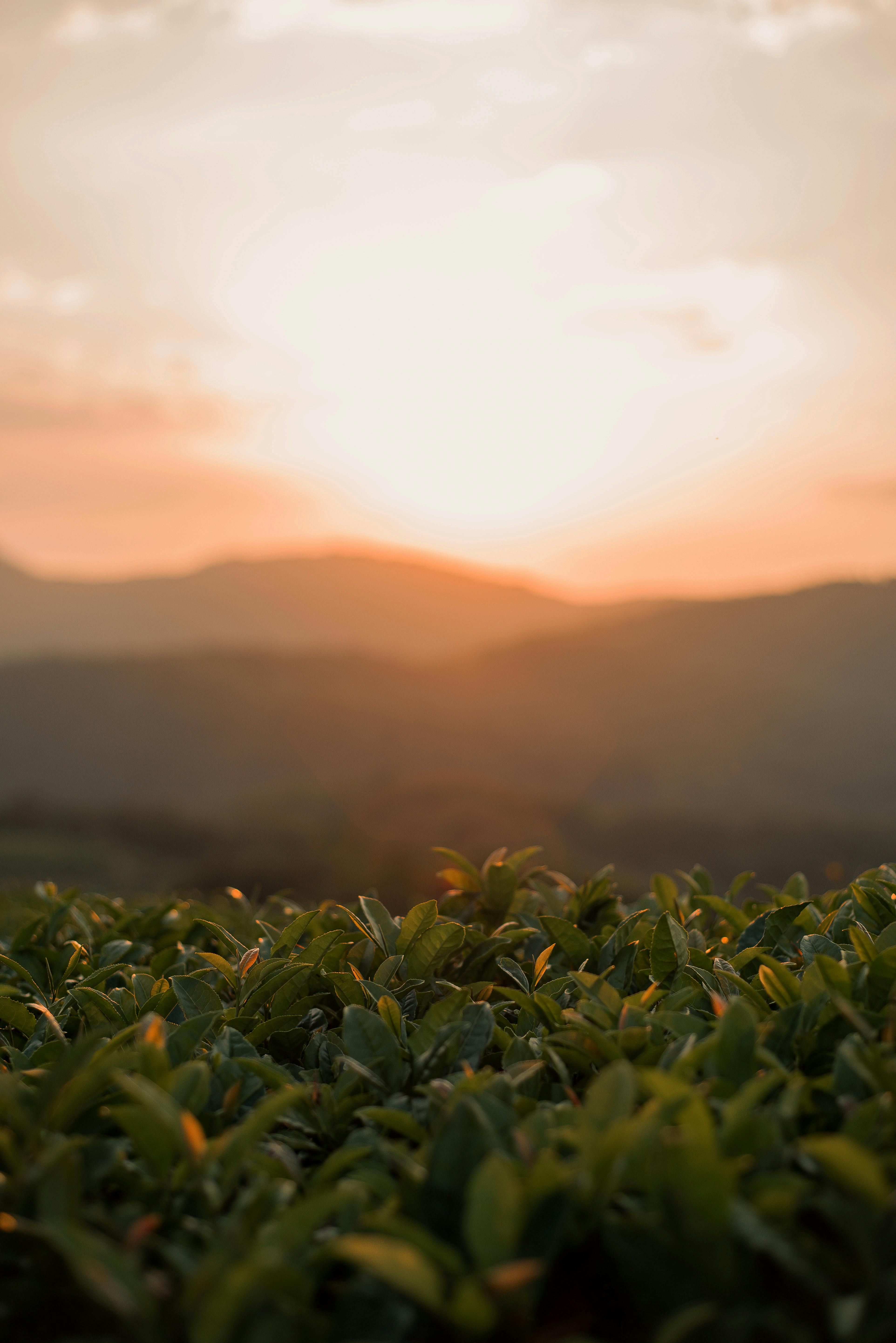 Significant drop in traffic offenses observed in Kuwait: Preliminary data shows a staggering 72% decrease in traffic violations after the new traffic law was implemented, as per information from the Ministry of Interior revealed on Tuesday. During the period between April 22 and 28, the authorities documented 6,342 traffic offenses, in stark contrast to the 22,651 reported in the previous week, before the implementation of the new regulations.