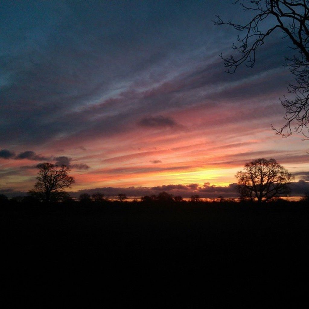 German Red Cross (DRK), managing blood donation services in Saxony-Anhalt and Thuringia, boasts an...